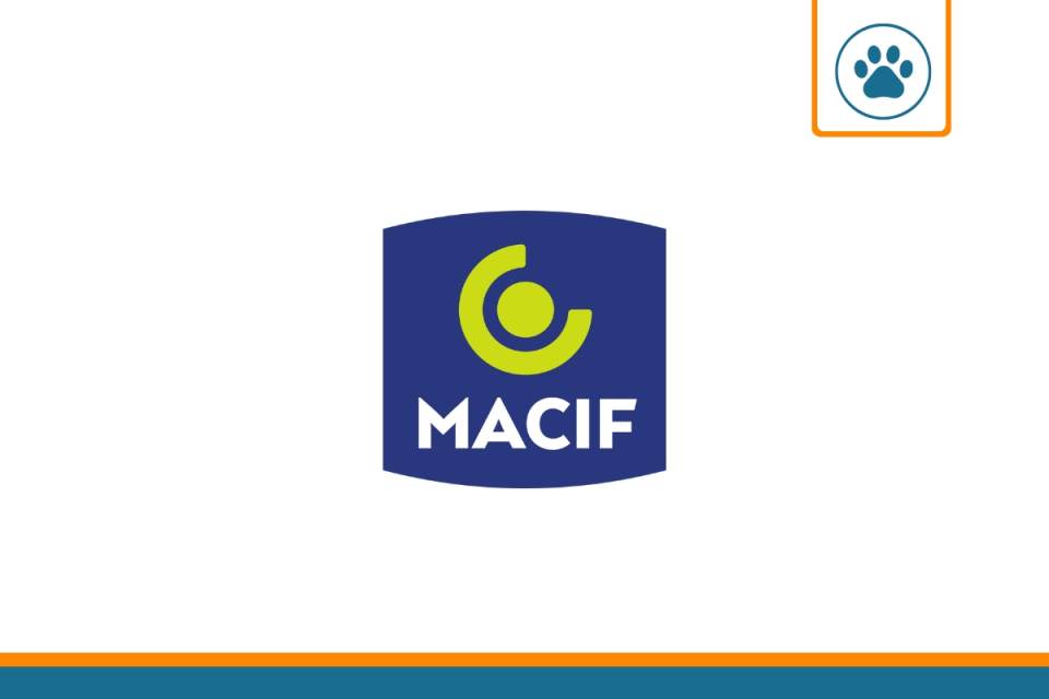 découvrez l'assurance professionnelle macif, une solution adaptée aux besoins des entrepreneurs et des professionnels. protégez votre activité avec des garanties sur mesure, une assistance 24/7 et un accompagnement personnalisé pour faire face à tous les imprévus.